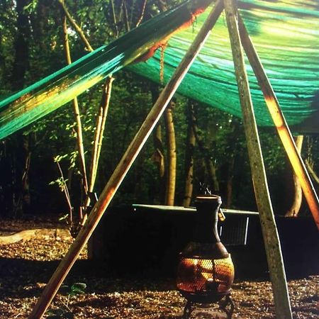 Magical Forest Yurt Sturry Exterior photo