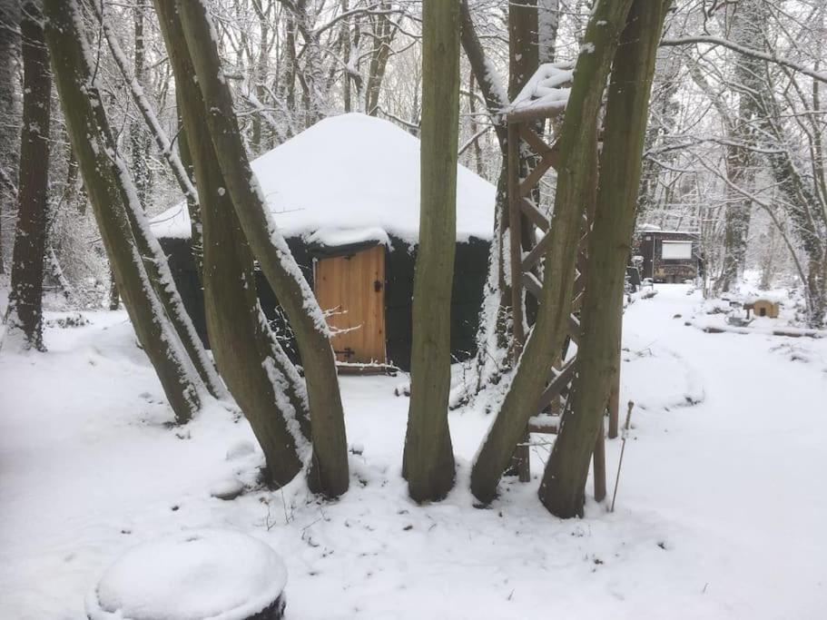 Magical Forest Yurt Sturry Exterior photo