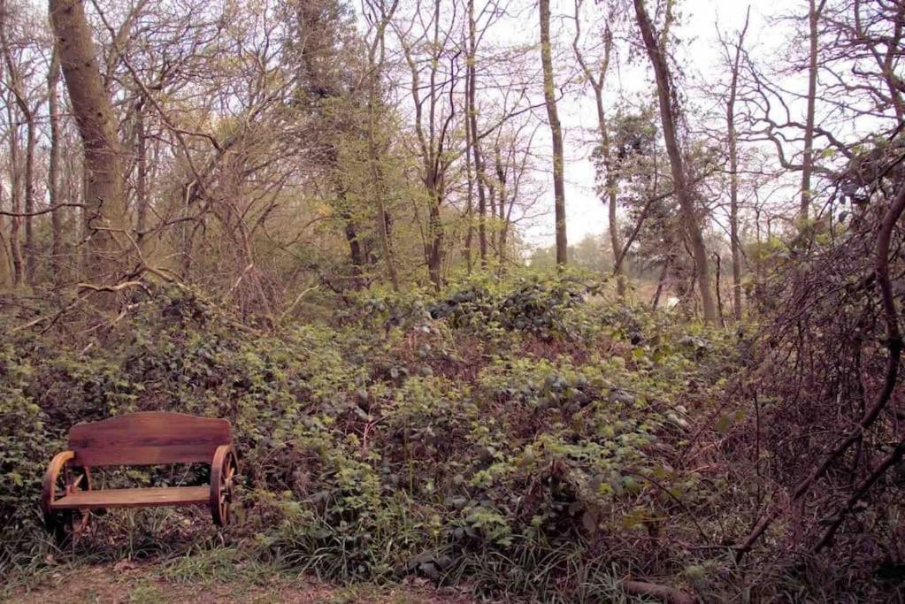 Magical Forest Yurt Sturry Exterior photo