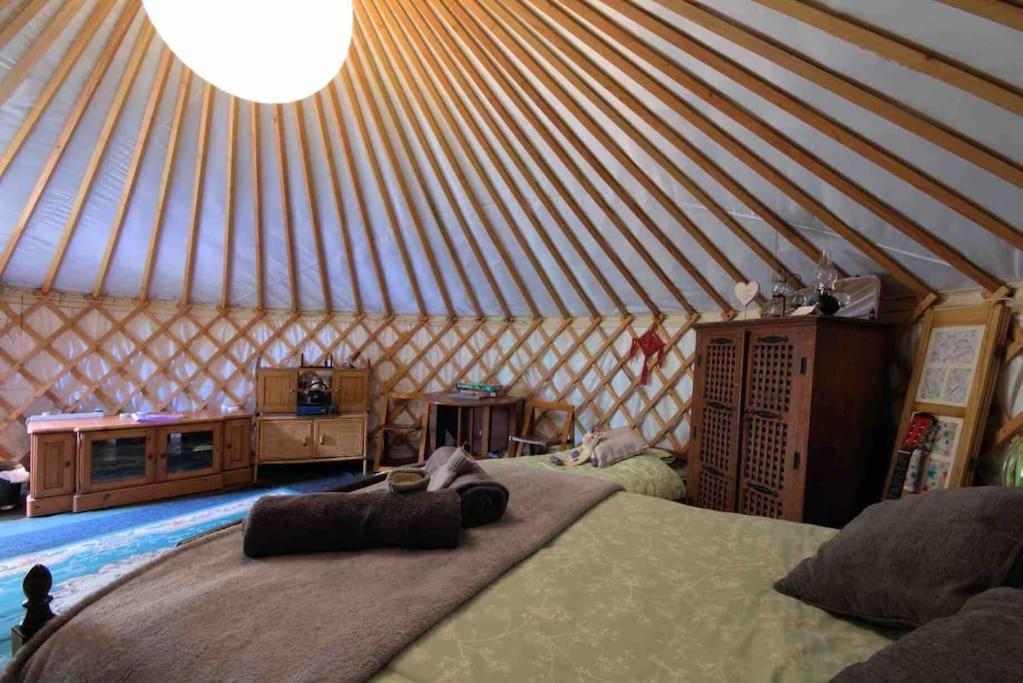 Magical Forest Yurt Sturry Exterior photo